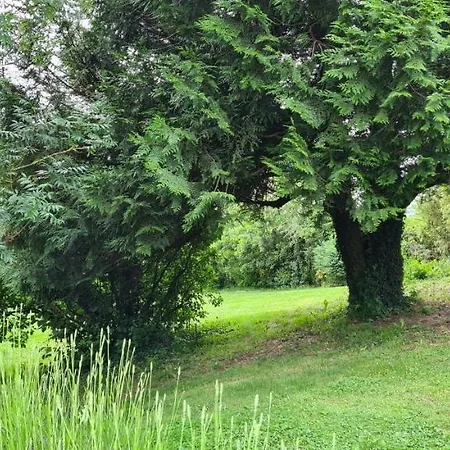 Le Terrier 250 M2 Grande Capacite 20 Couchages, 4500m2 De Terrain Holiday home