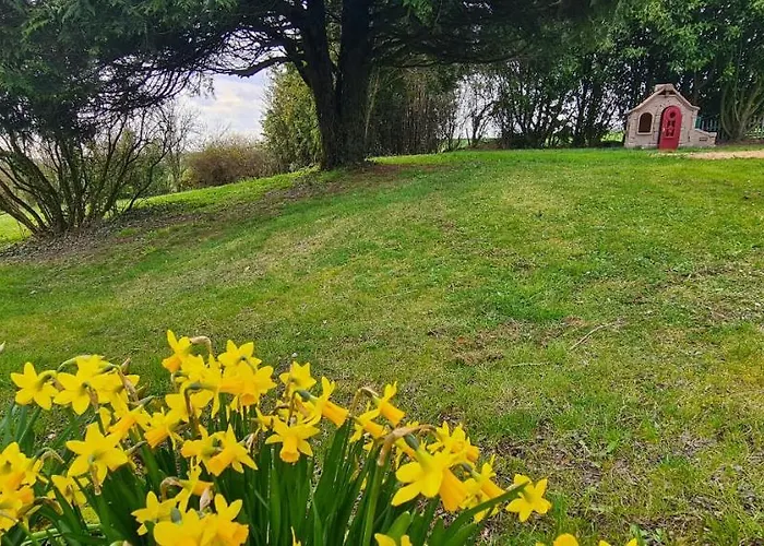 Le Terrier 250 M2 Grande Capacite 20 Couchages, 4500m2 De Terrain *