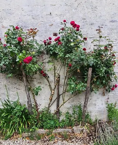 Le Terrier 250 M2 Grande Capacite 20 Couchages, 4500m2 De Terrain Saint-Pierre-du-Chemin